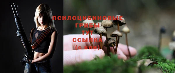 apvp Алексин