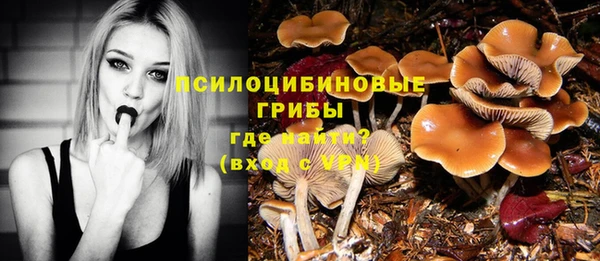 твердый Алзамай