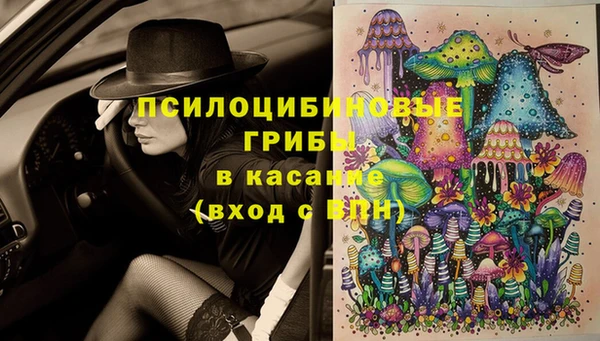 твердый Алзамай