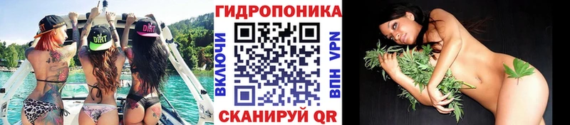 купить закладку  Обнинск  Бошки марихуана MAZAR 